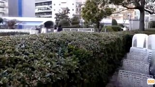 想被这样的巨想被这样的巨乳性交…忍耐汁下流性交……肉棒变成笨蛋的乳房肉棒性交 楪カレン 乳性交…忍耐汁下流性交……肉棒变成笨蛋的乳房肉棒性交 楪カレン